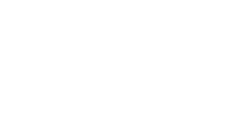 titanflex